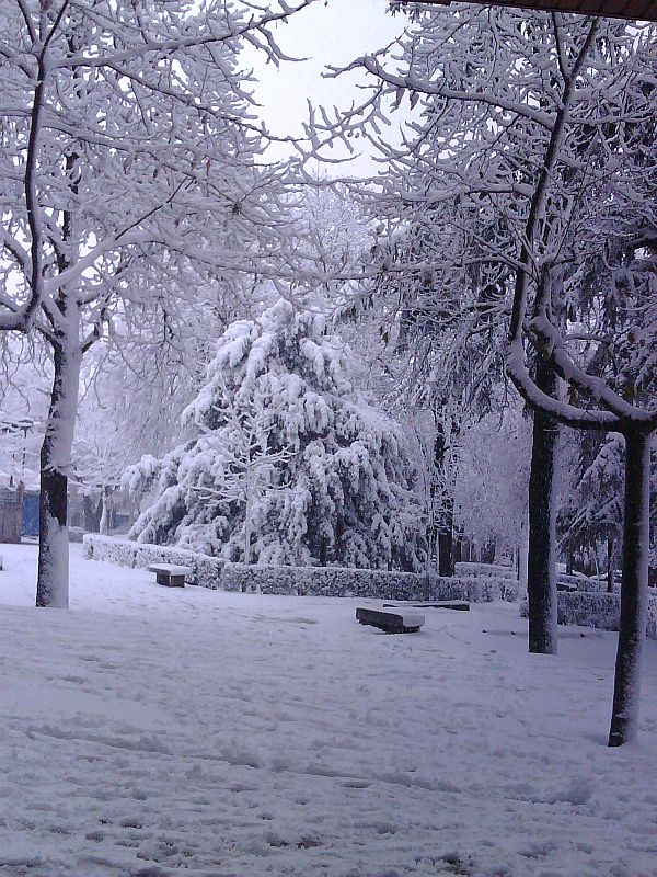 Nevada en Ávila. 10/12/2008