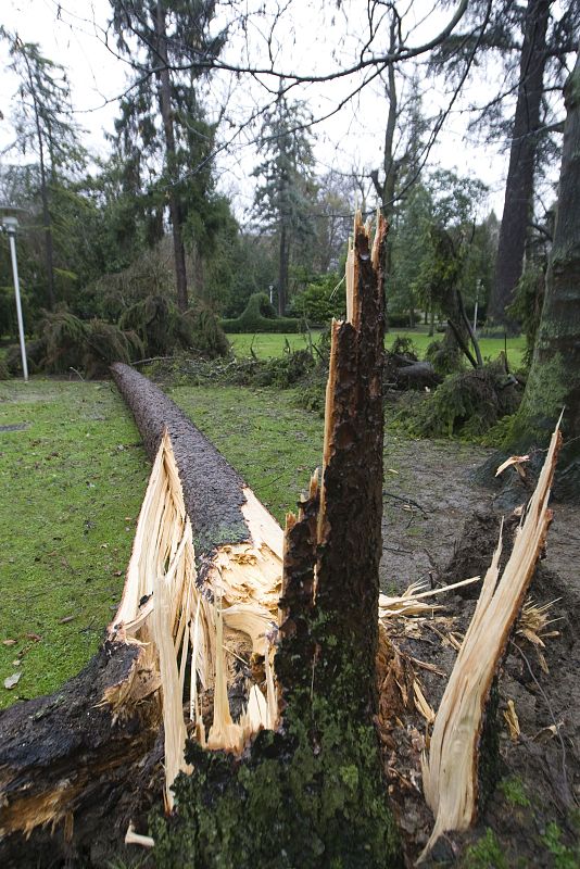 TEMPORAL VIENTO VITORIA
