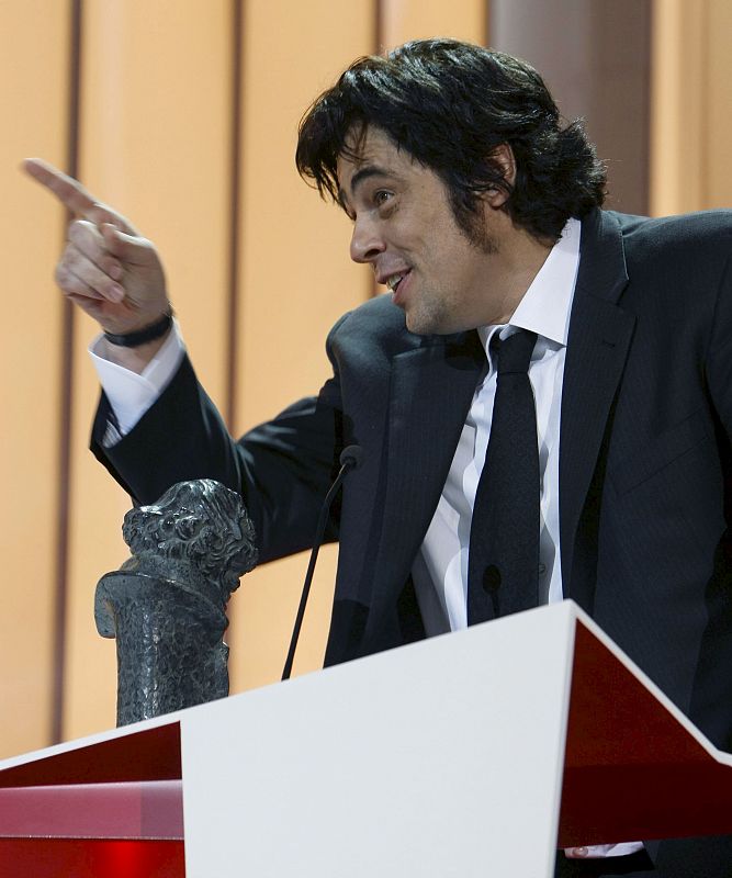 Benicio del Toro, mejor actor protagonista