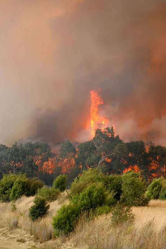 EL FUEGO HACE ESTRAGOS EN EL ESTADO AUSTRALIANO DE VICTORIA