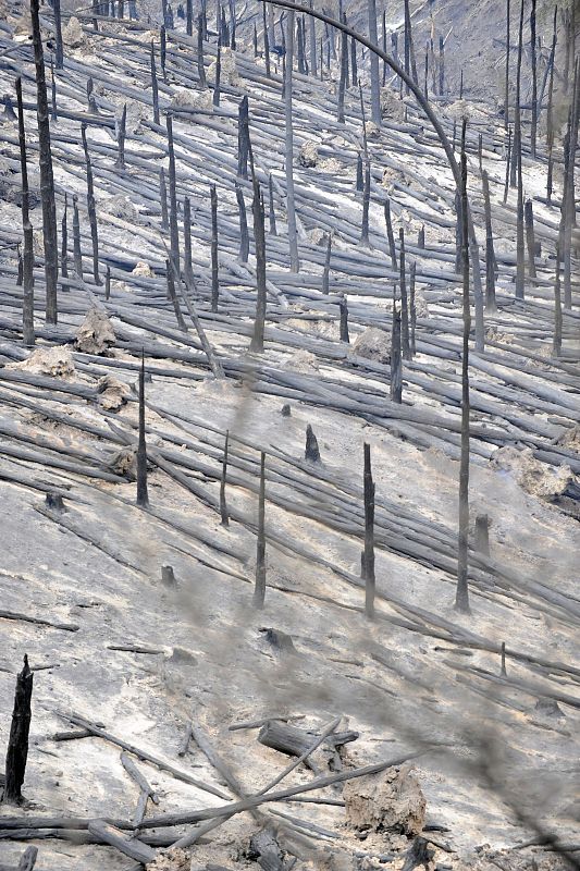 Incendios en Australia