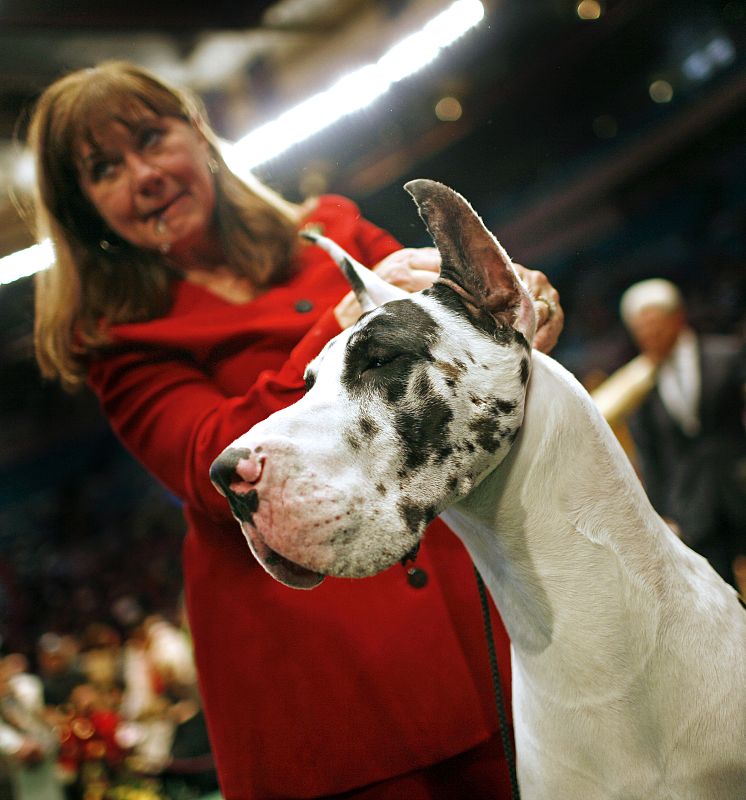 Leo se hizo con el trofeo en una de las categorías