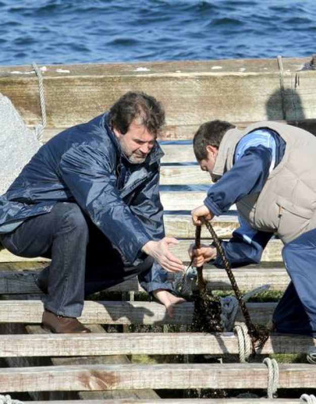 Anxo Quintana recoge mejillones