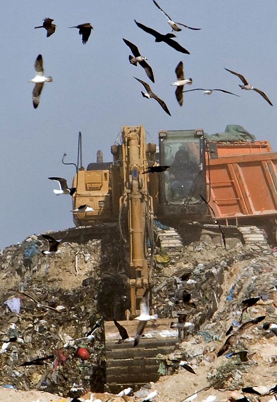 Una vez alcanzada la 'zona caliente', en donde supuestamente estaría la basura del día en que fue asesinada Marta, los operarios trabajan a mano, revisando una a una todas las bolsas.