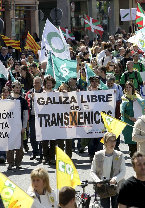 VARIOS MILES DE PERSONAS DICEN EN ZARAGOZA "BASTA YA" A LOS TRANSGÉNICOS