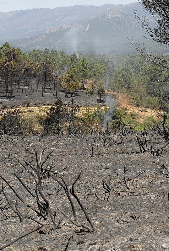 Incendio en Castrocontrigo (León)