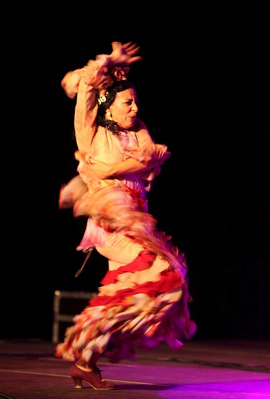 FESTIVAL VIVA FLAMENCO 2009