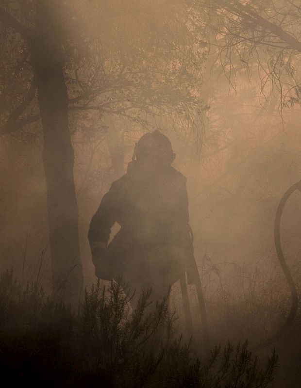 Incendio en Charco de la Pava (Sevilla)