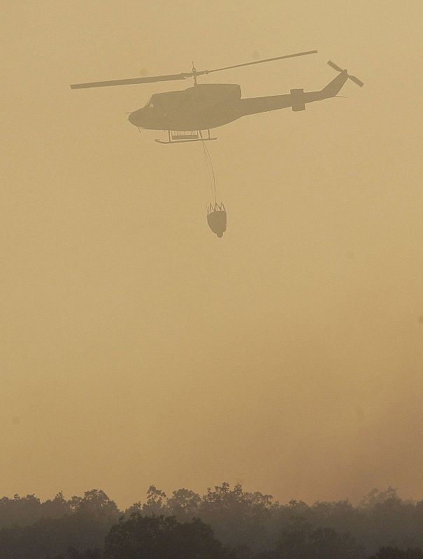 CORTE EN LINEA DEL AVE