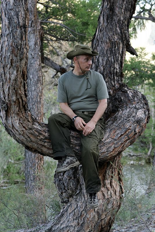 El líder ruso, sentado en un árbol durante una jornada de pesca en la región de Tuva este año.
