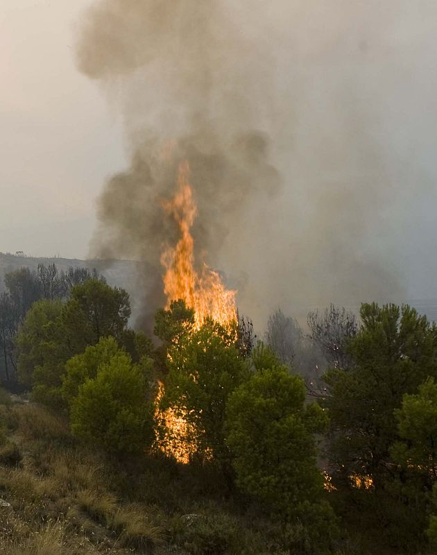EL INCENDIO PODRÍA HABER AFECTADO YA A UNAS 4.000 HECTÁREAS