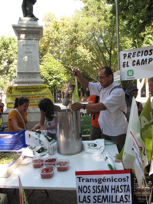 Lucha contra los transgénicos