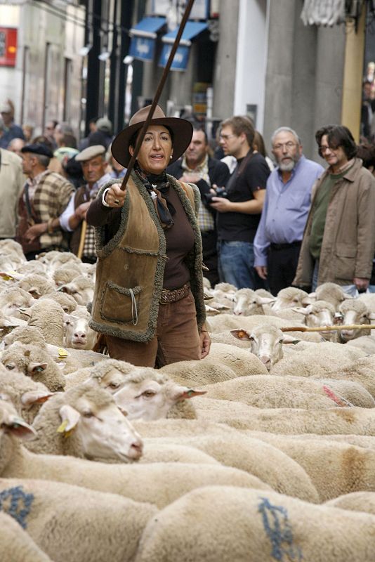 Imagen de una pastora, durante la decimosexta edición de la Fiesta de la Trashumancia en la que un rebaño de unas mil ovejas más otras tantas vacas ha recorrido algunas de las principales calles del centro de Madrid.