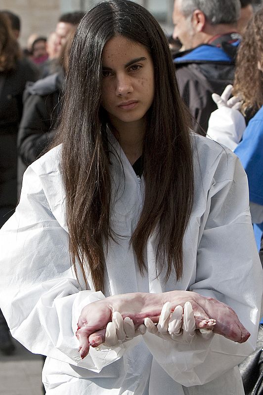 Un centenar de cadáveres de animales, entre ellos decenas de cochinillos,han sido exhibidos este domingo en la Puerta del Sol de Madrid por activistas de la asociación Igualdad Animal.