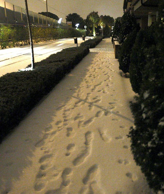 Imagen de una calle de la localidad madrileña de Pozuelo de Alarcón tras la nieve caída en la comunidad durante la madrugada.