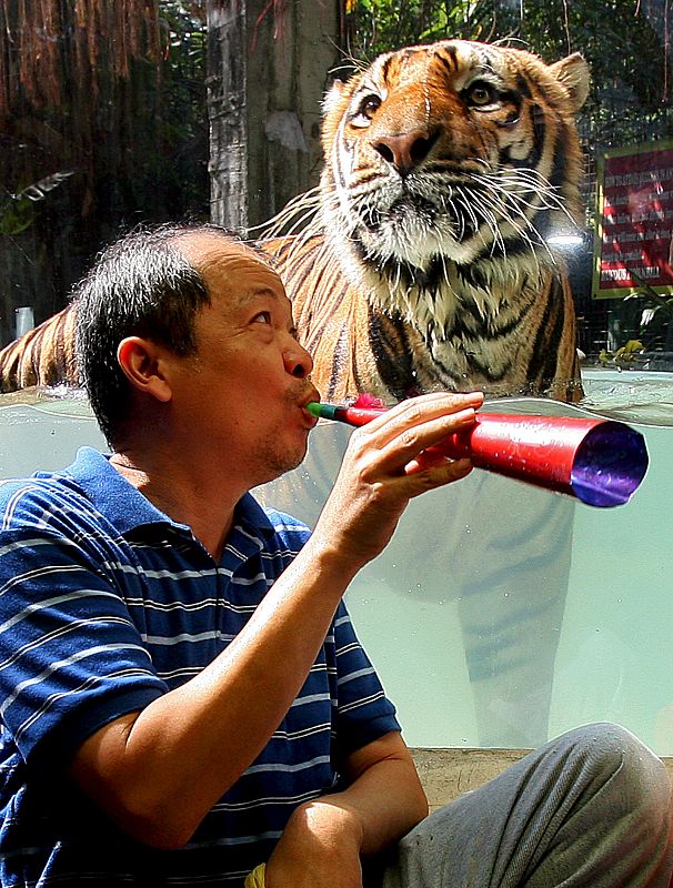 FILIPINOS DAN LA BIENVENIDA AL 2010, EL AÑO DEL TIGRE SEGÚN EL HORÓSCOPO CHINO
