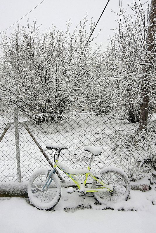 TEMPORAL DE NIEVE