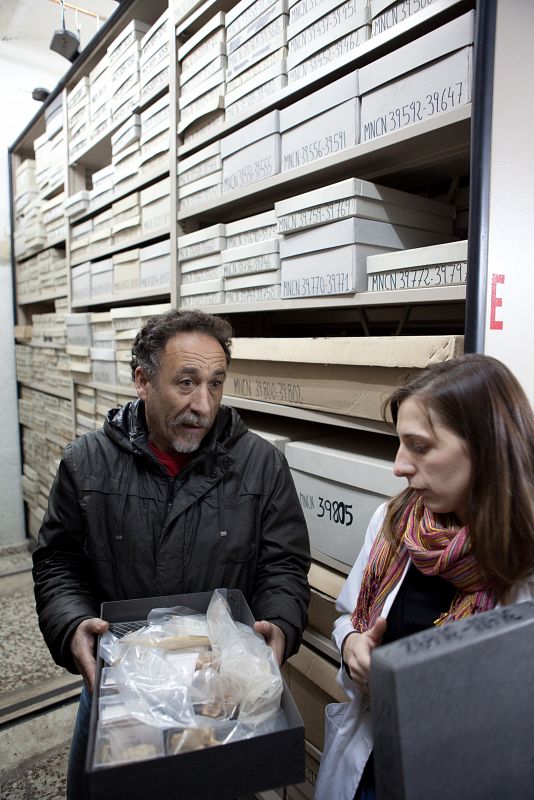 Destapa una de ellas y expectantes descubrimos en su interior decenas de huesos de pequeños animales prehistóricos