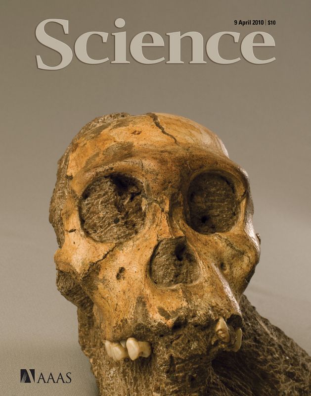 Portada de la revista Science que recoge el hallazgo del Australopithecus Sediba
