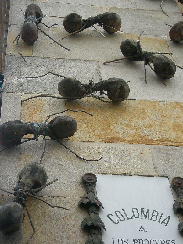 Las hormigas toman el Congreso de Colombia