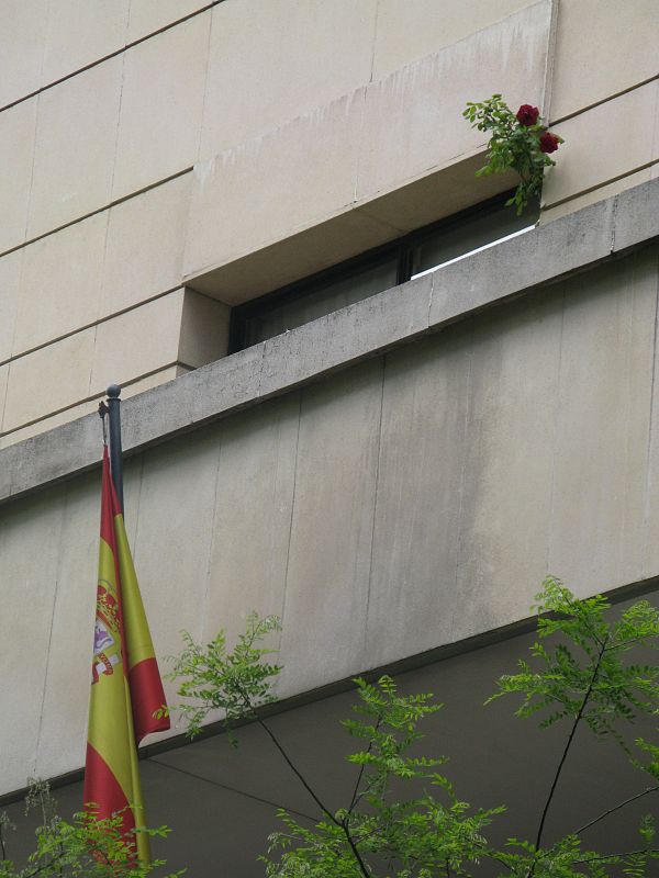 Rosas en el despacho del juez Garzón.