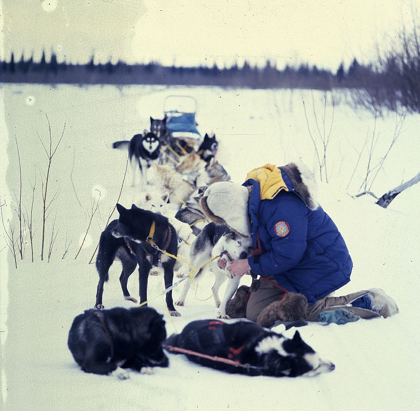 Uno de los participantes de la carrera de Iditarod en 1980