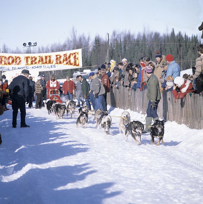 Iditarod 1980