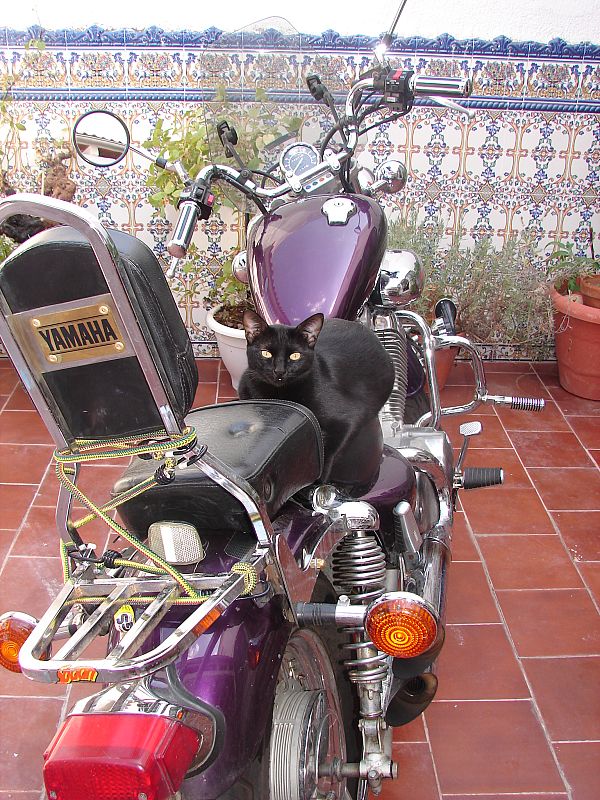 Luis Fernández Barrios.