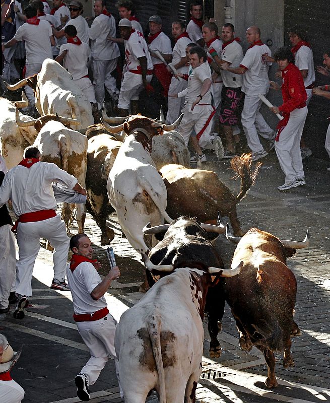 Los toros de la ganadería pacense de Peñajara
