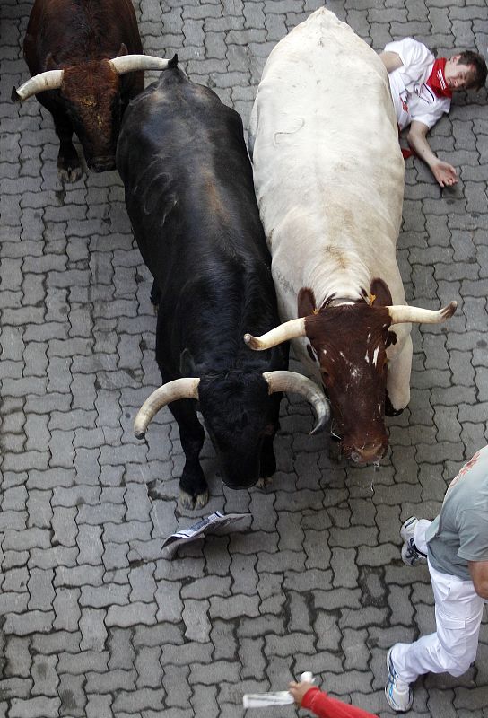 A fallen runner remains on the ground as bulls and steers run by on the first day of the running of the bulls during the San Fermin festival in Pamplona