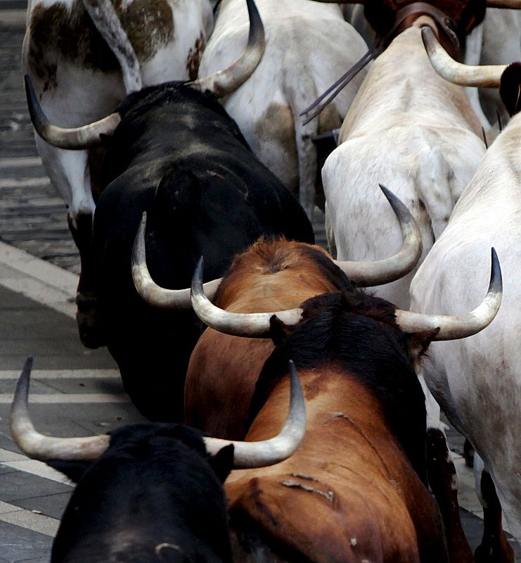 SANFERMINES 2010