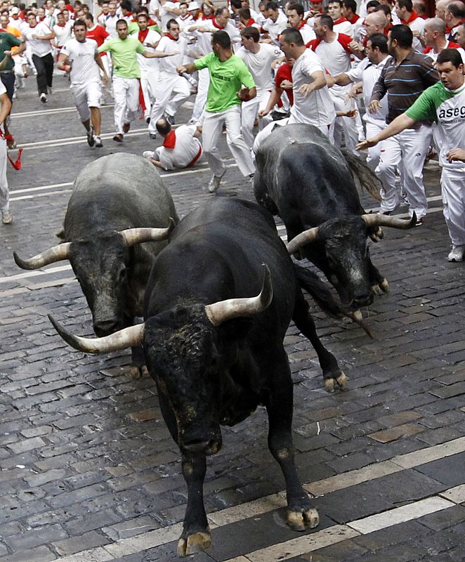 Quinto encierro 2010