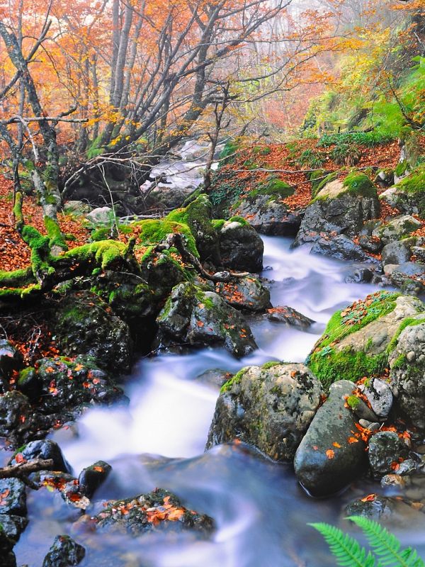 Un precioso paisaje natural