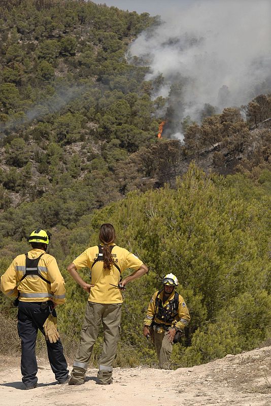 Unos 300 miembros del Instituto Balear de la Naturaleza, los Bomberos de Ibiza y la Unidad Militar de Emergencias participan en los trabajos de extinción.