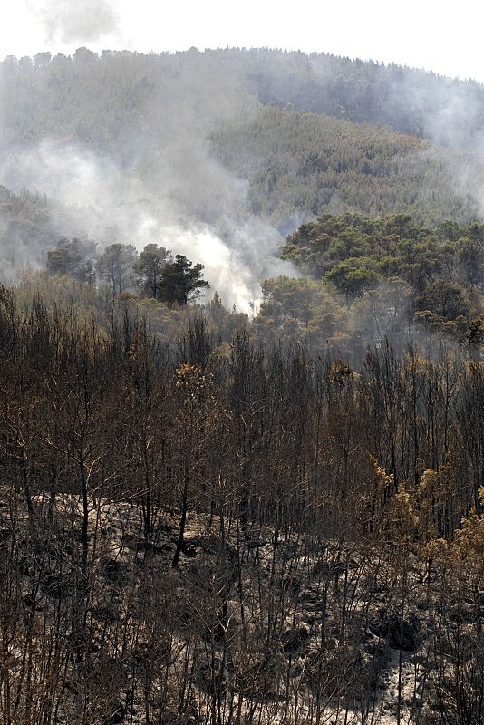 Vista de la zona afectada por el fuego.