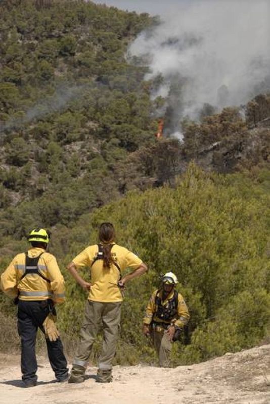 Unos 300 miembros del Instituto Balear de la Naturaleza, los Bomberos de Ibiza y la Unidad Militar de Emergencias participan en los trabajos de extinción. 