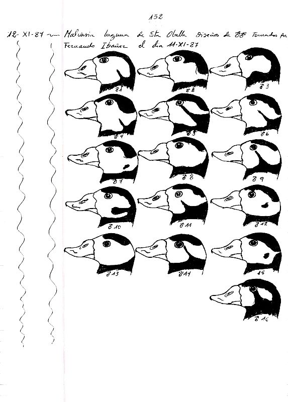 Los cuadernos de campo de Doñana, abiertos al público