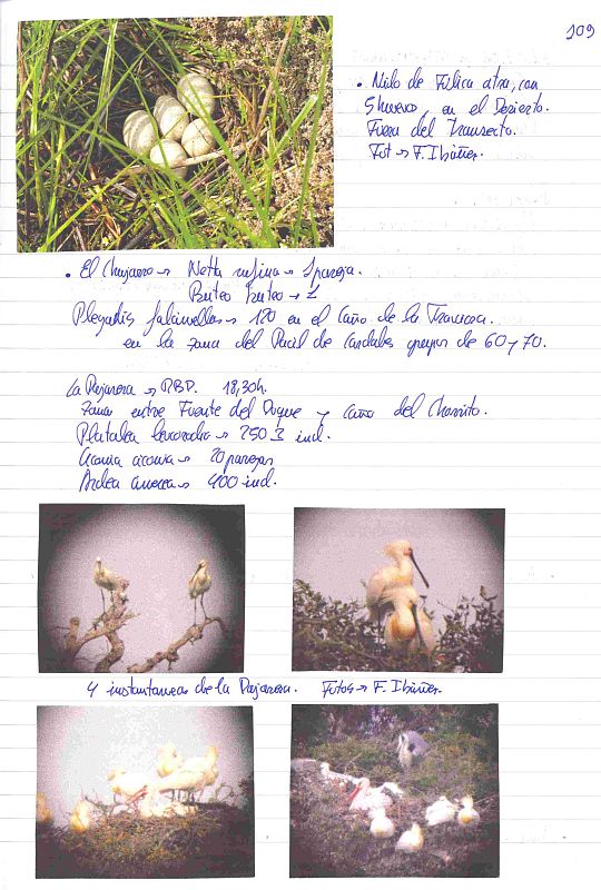 Los cuadernos de campo de Doñana, abiertos al público