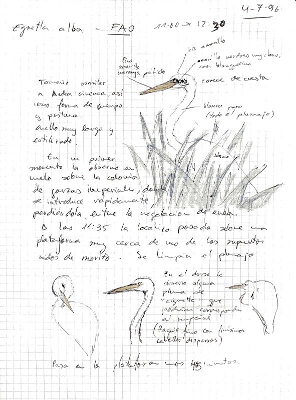 Los cuadernos de campo de Doñana, abiertos al público