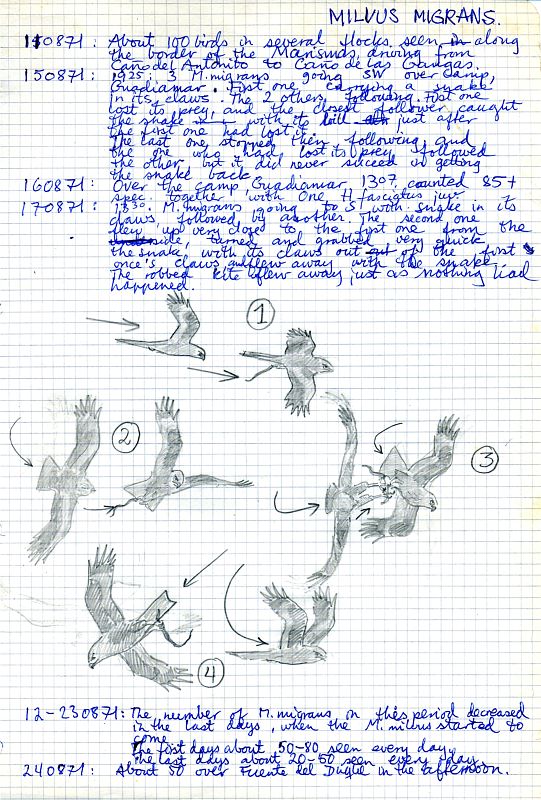 Los cuadernos de campo de Doñana, abiertos al público