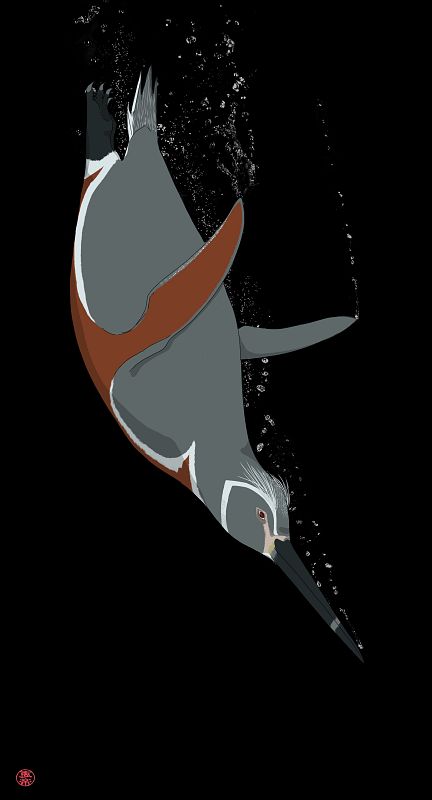 Los pingüinos de la antiguedad, muy diferentes a los actuales