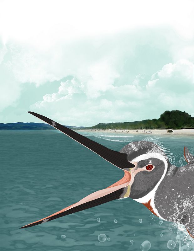 Los pingüinos de la antiguedad, muy diferentes a los actuales