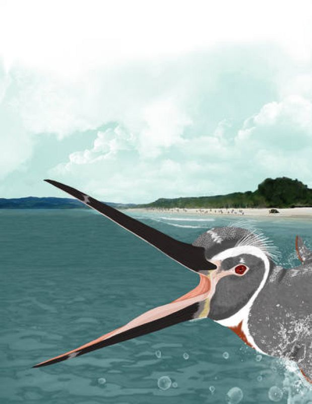 Los pingüinos de la antiguedad, muy diferentes a los actuales