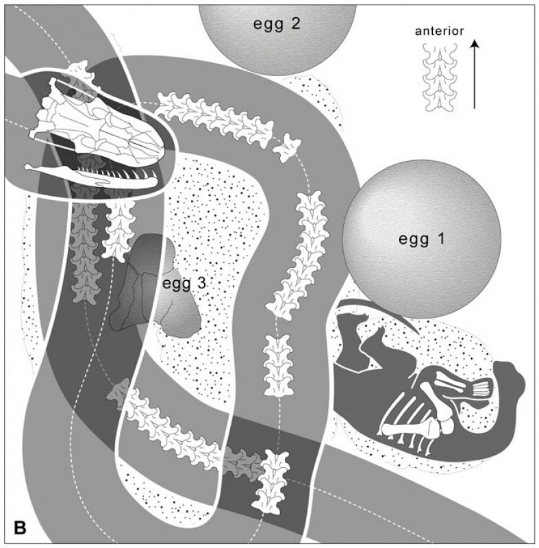 Mapa interpretativo de la serpiente que se comía los huevos de dinosaurio