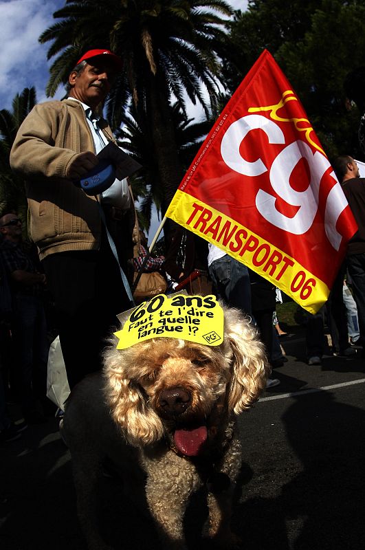 A CGT activist demonstrates with his dog over pension reforms in Nice