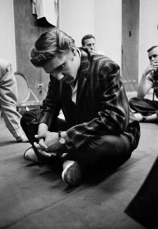 Elvis, concentrado sentado en el suelo