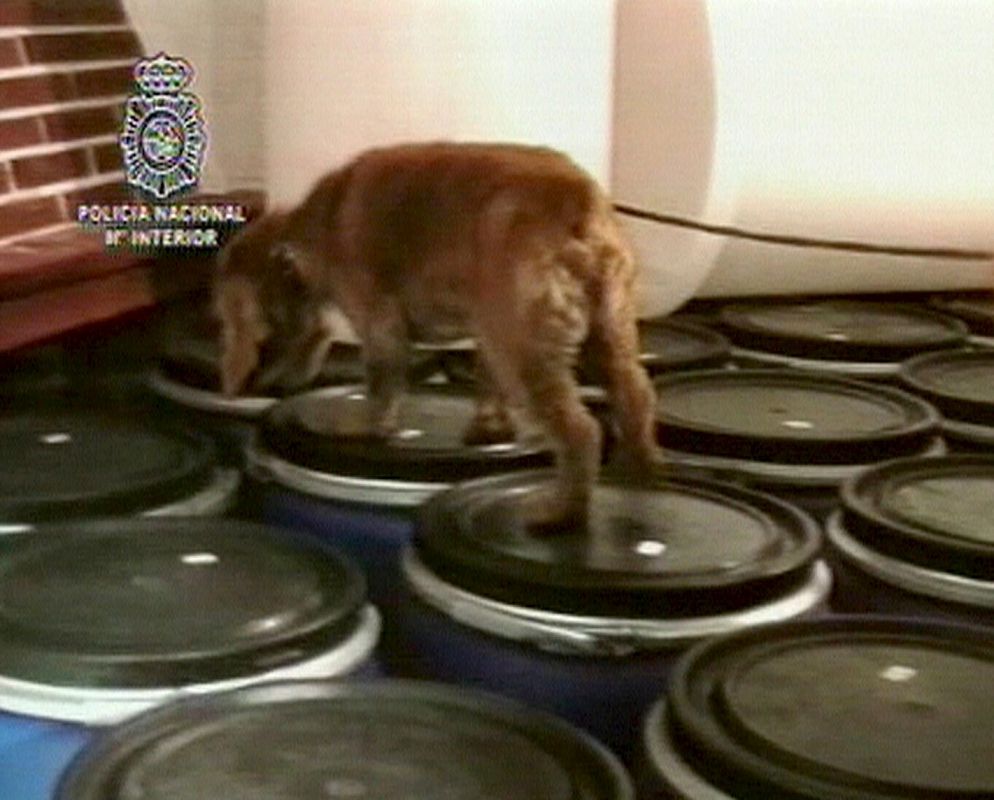 Un perro policía reconoce el interior del laboratorio clandestino.