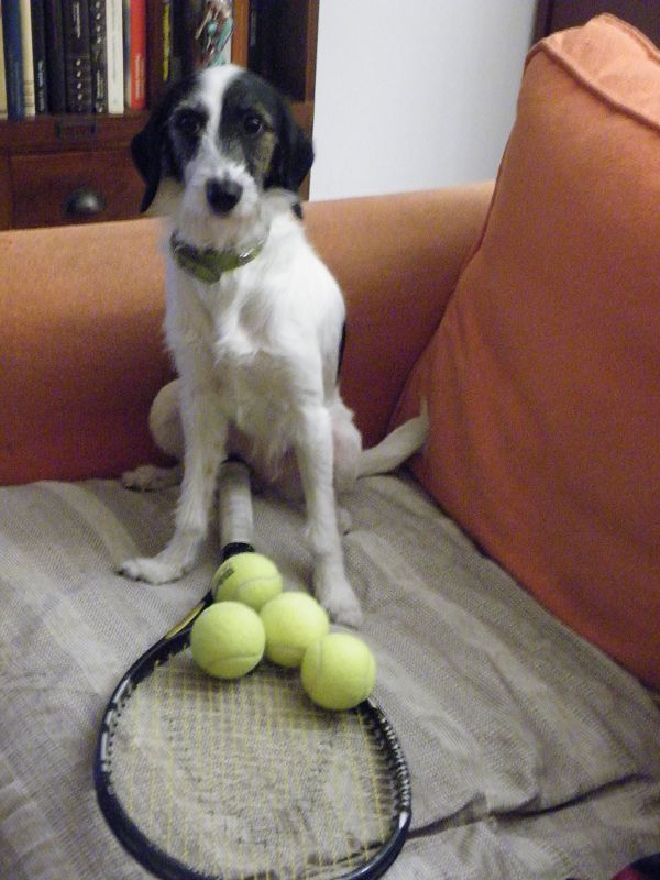 Saludos desde Granollers, Barcelona. Lista para jugar