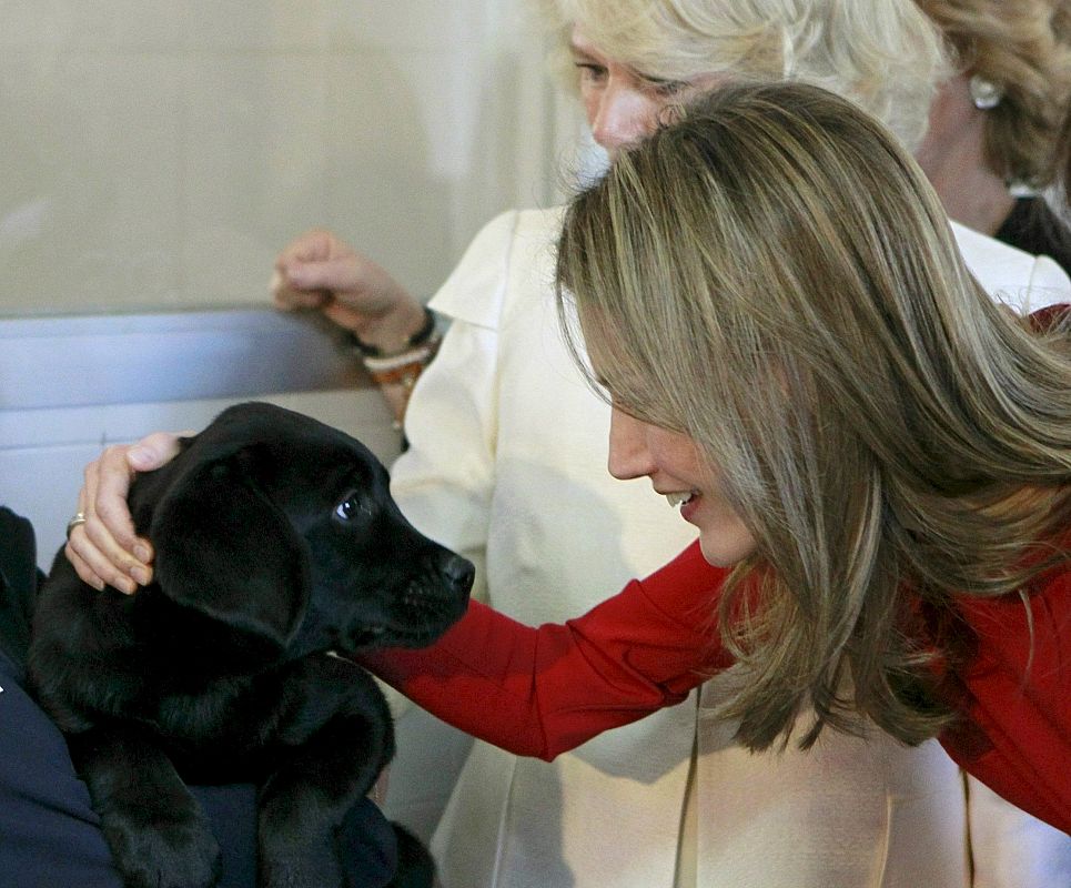 Doña Letizia acaricia a uno de los perros-guía ante la mirada de la duquesa de Cornualles