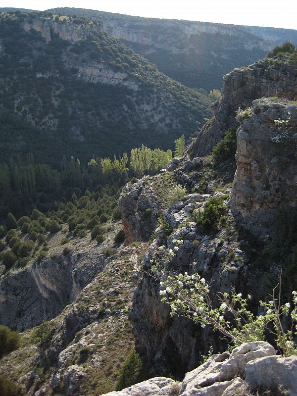 Las hoces del río Riaza